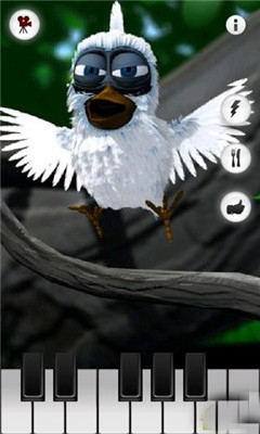 鹦鹉学说话截图0