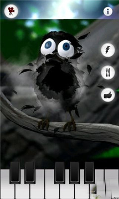 鹦鹉学说话截图1