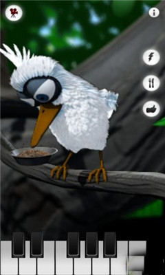 鹦鹉学说话截图3