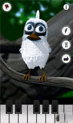 鹦鹉学说话截图4