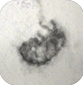 有印痕游戏下载-有印痕手游(恐怖解谜养成)下载 v1.0汉化中文版_安卓网-六神源码网