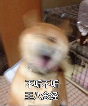 其中最搞笑的应当属不听不听王八念经可达鸭表情包,感兴趣的小伙伴快