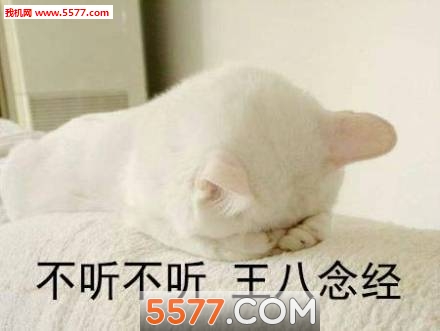 不听不听王八念经表情包下载-不听不听王八念经图片包