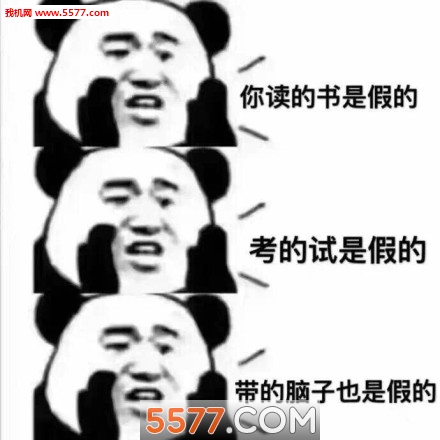 我可能有个假脑子图片梗表情包