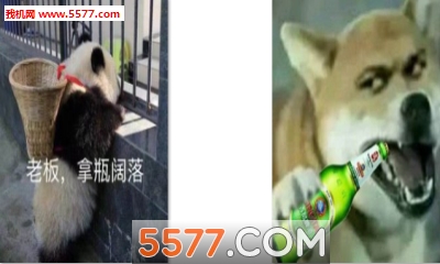 老板来瓶冰阔落表情包