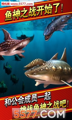 钓鱼发烧友3.0.1最新版本