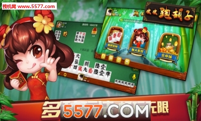 湖南跑胡子透视挂