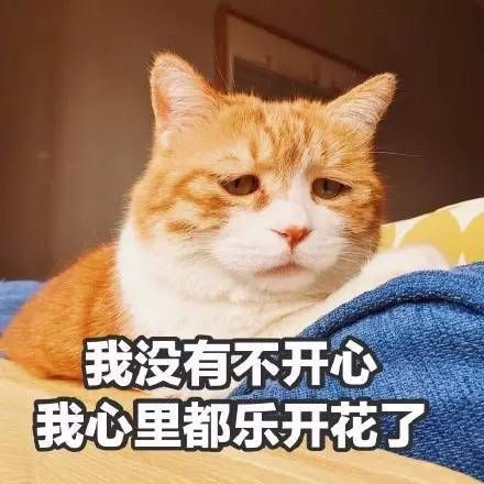 丧气黄猫日表情包手机版