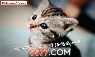 喊表情表情?喊老公表情的老婆喊妈表情人枣庄熊猫老公包图片