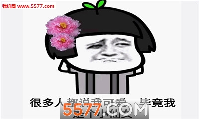 仙女专用表情包高清版