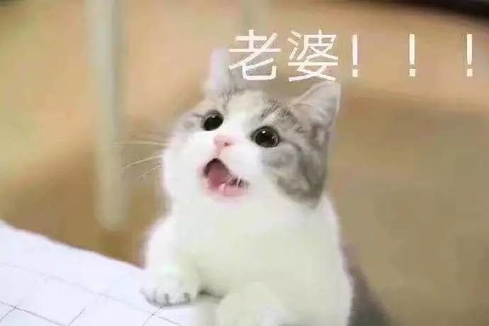 表情包可以说是这些年火起来的一种文化,正所谓一言不和就斗图,没有一套完整且强大的表情包,都不敢随意跟人聊天,用文字搭配搞笑图片而成的表情包可以说已经渗入到生活中的各个角落,今天小编为大家带来表情包图片大全以及表情包素材空白下载,感兴趣的快来下载,让你斗图立于不败之地!