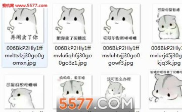 再闹操哭你|再闹睡了你|再闹我就打你了表情图片