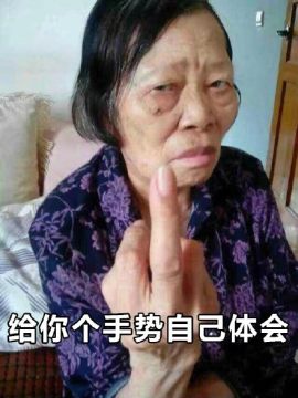 中国大妈风表情包(辣眼睛系列)