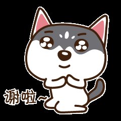 这是一组由二哈动漫形态打造的表情包,该表情包非常的可爱,萌动,深受