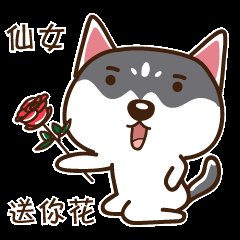 这是一组由二哈动漫形态打造的表情包,该表情包非常的可爱,萌动,深受