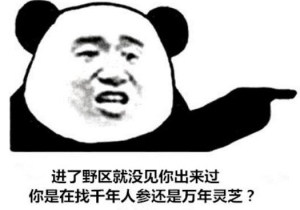 王者荣耀搞笑怼人表情包下载-王者荣耀搞笑怼人表情包