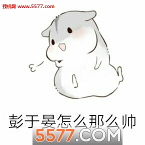 彭于晏仓鼠图片表情包等表情搞笑图片
