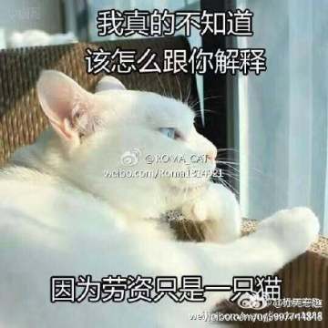 我真不知道怎么跟你解释表情包