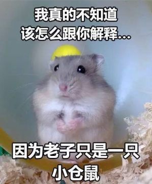 我真不知道怎么跟你解释表情包