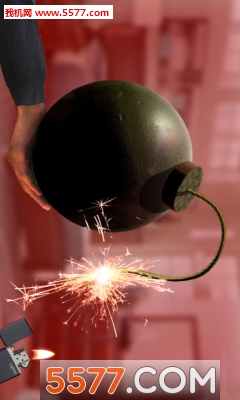 Bomb Bang Simulator(ֻ׹ٶ)ͼ2
