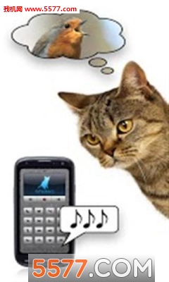 抖音猫变声器软件