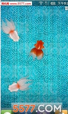 掌上金鱼动态壁纸app下载 掌上金鱼动态壁纸手机版下载 5577安卓网