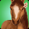 Horse Hotel游戏下载-HorseHotel(Horse Hotel照顾马匹)下载 _安卓网-六神源码网