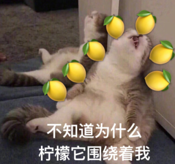 人类的本质是柠檬精表情包