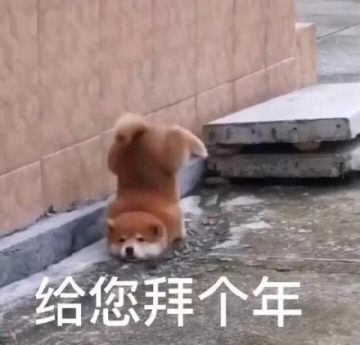 大年初一拜年了表情包下载-给您拜年了表情图片下载