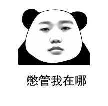最热门最全抖音表情包系列