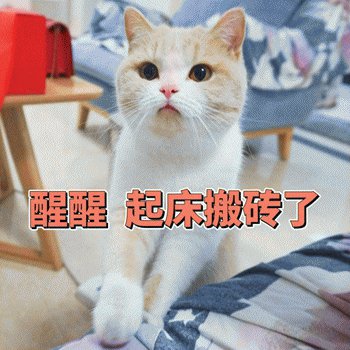 猫咪叫你起床图片