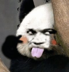即使听着苏喂苏喂也心如止水表情图片