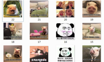 搭讪表情包图片
