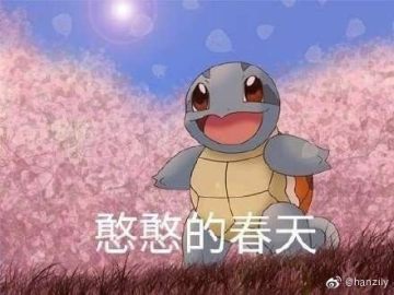 杰尼龟憨憨敬礼表情包_憨憨脸红表情包