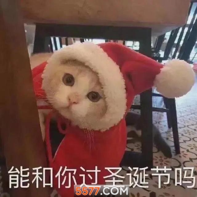 我可爱成这样做你的圣诞礼物好不好图片高清版开发一款app费用