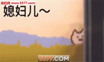 一只猫追火车表情包动图下载-一只猫追火车的gif免费