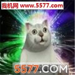 Mur猫奇怪的知识又增加了图片下载 奇怪的知识又增加了头像表情包 5577安卓网