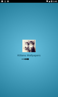 Kittens Wallpapers(小猫壁纸)安卓版