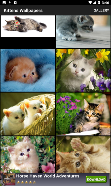 Kittens Wallpapers(小猫壁纸)安卓版截图3