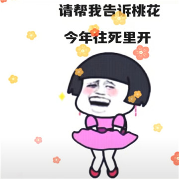 抖音请帮我告诉桃花今年往死里开表情包