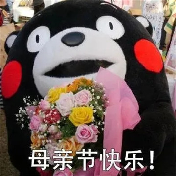 母亲节表情包动图2021最新版