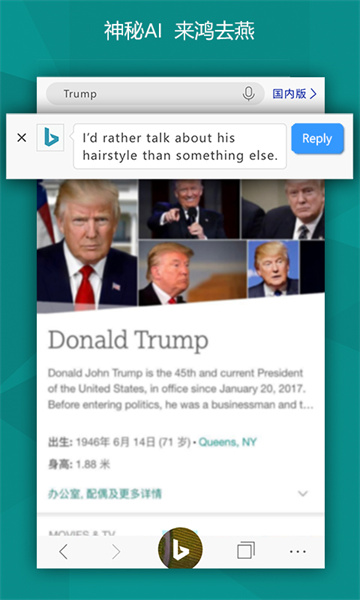 必应搜索v25.5.410612318