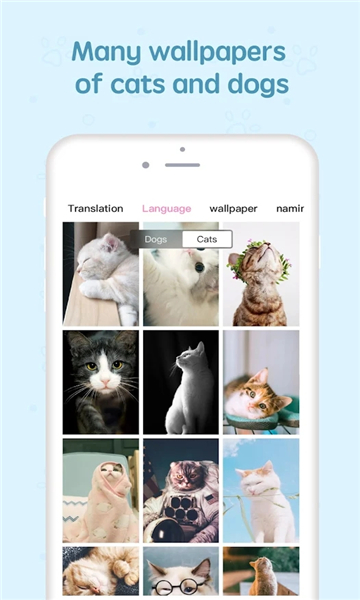 Pet Translator(Էֻ)
