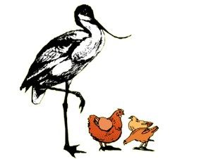 看图猜成语一只鹤站在四只鸡中间是什么