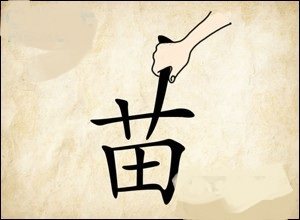 成语玩命猜一只手在拔苗字的草字头是什么