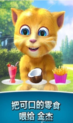 会说话的金杰2(talking ginger 2)