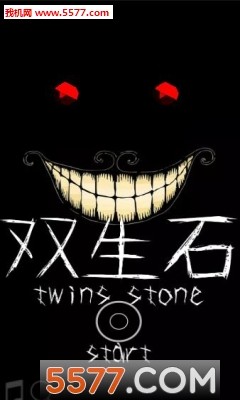 双生石手机游戏(烧脑闯关)twins stone