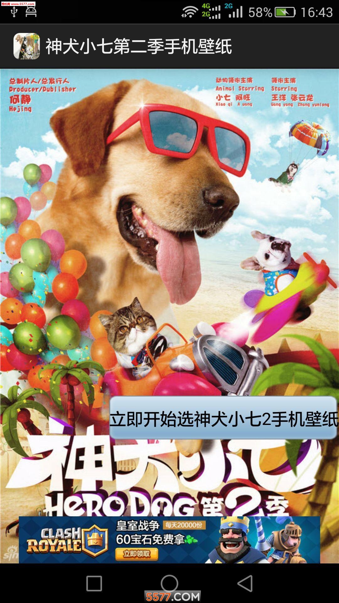 神犬小七第二季手机壁纸高清剧照