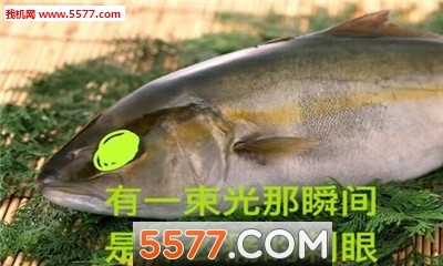 眼睛里泛着诡异的光表情包无水印版