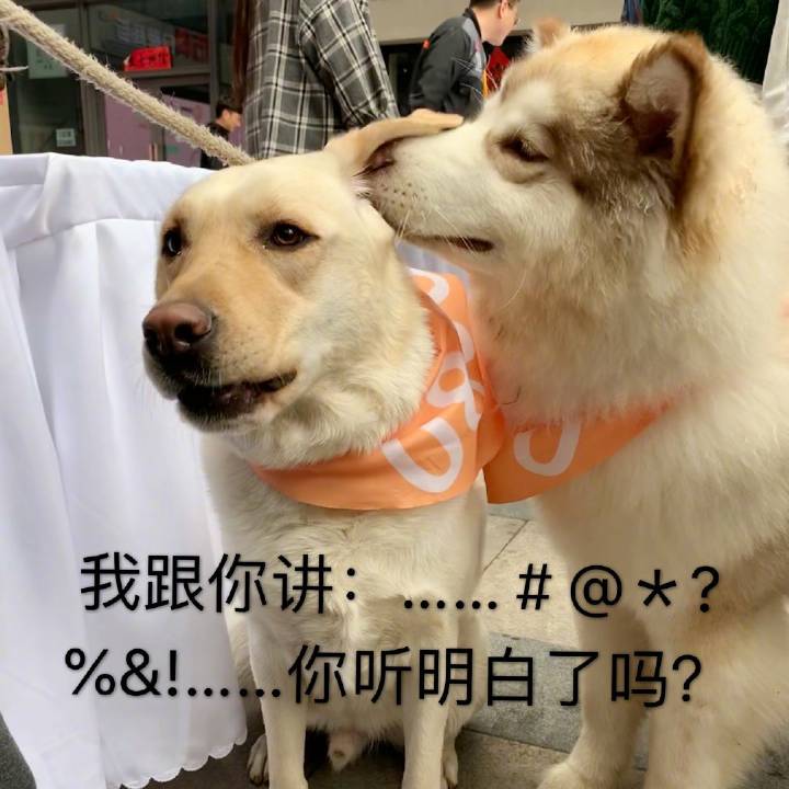 我跟你讲你听明白了吗表情包下载-我跟你讲你听明白了吗表情图片下载